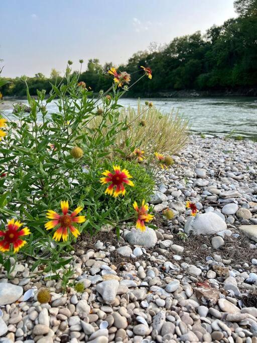 The River Haven - Sleeps 32 - On Guadalupe River Seguin Bagian luar foto